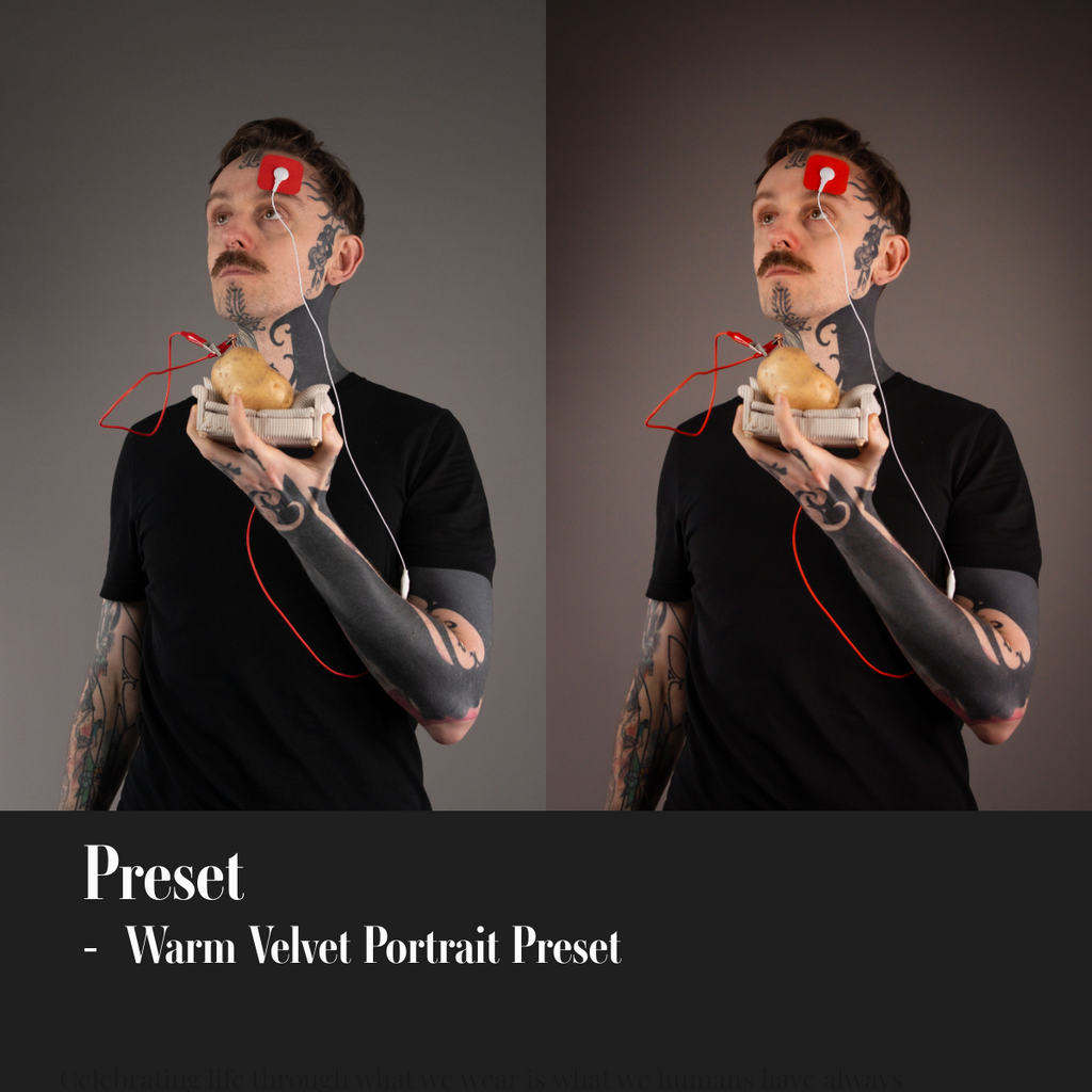 ML Mini Pack Presets V1