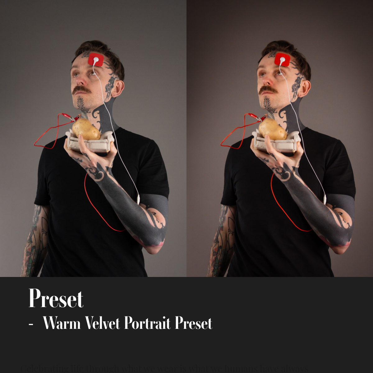 ML Mini Pack Presets V1