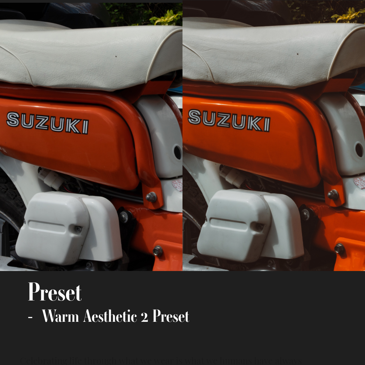 ML Mini Pack Presets V1