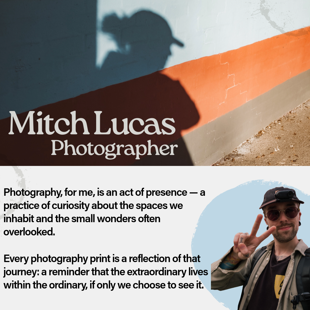 Checked Light - Photography Print