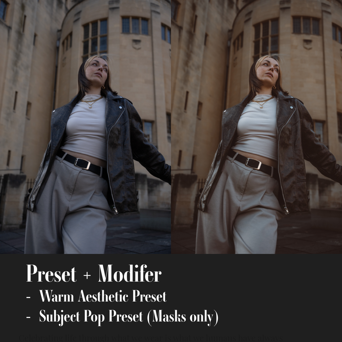 ML Mini Pack Presets V1