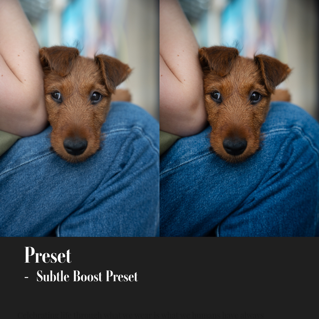 ML Mini Pack Presets V1