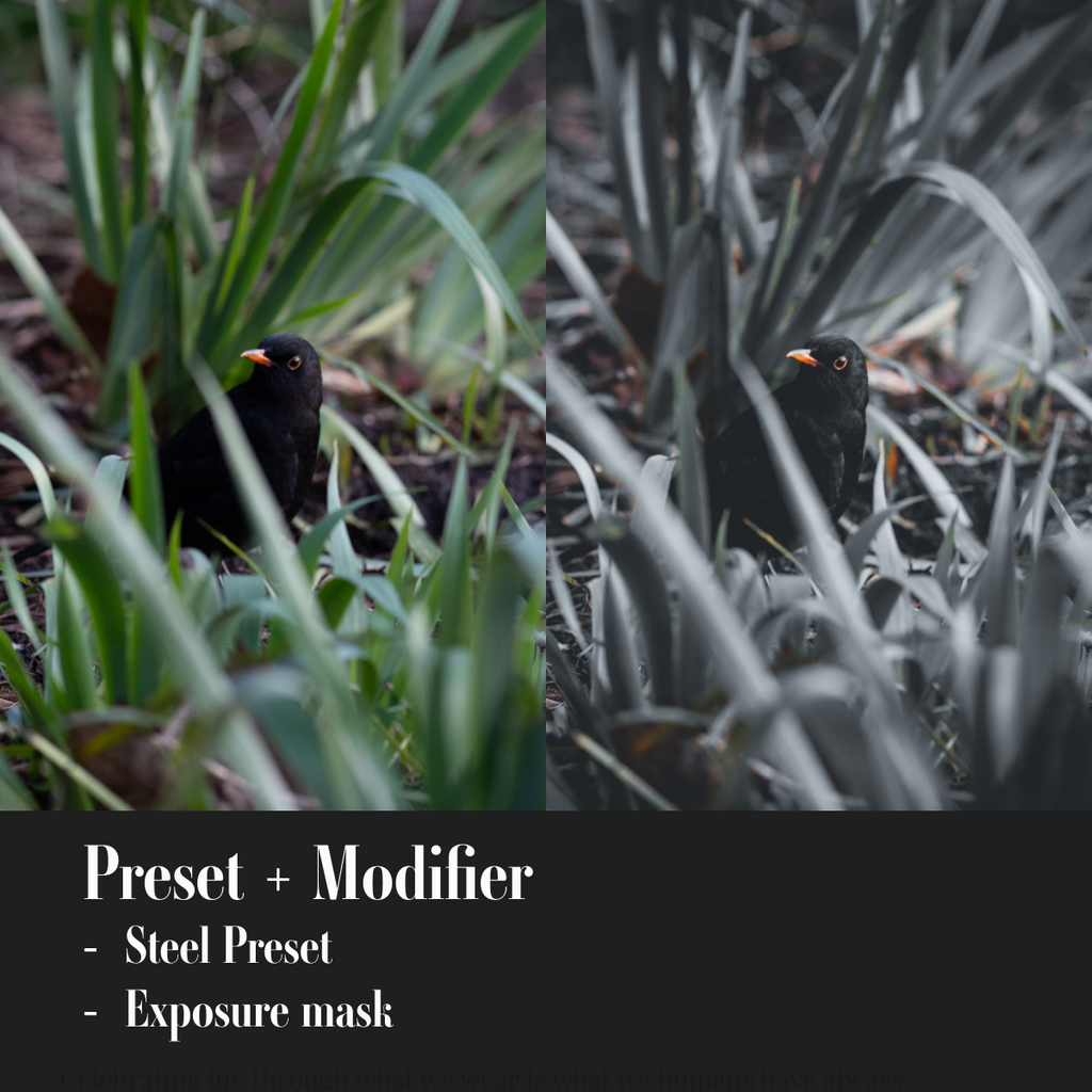 ML Mini Pack Presets V1