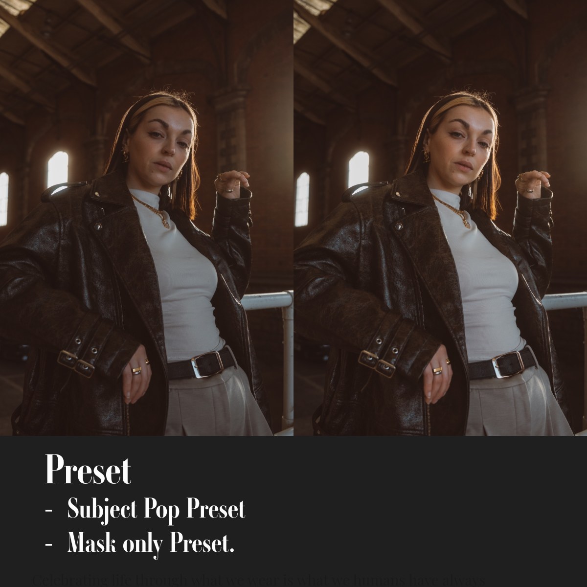 ML Mini Pack Presets V1
