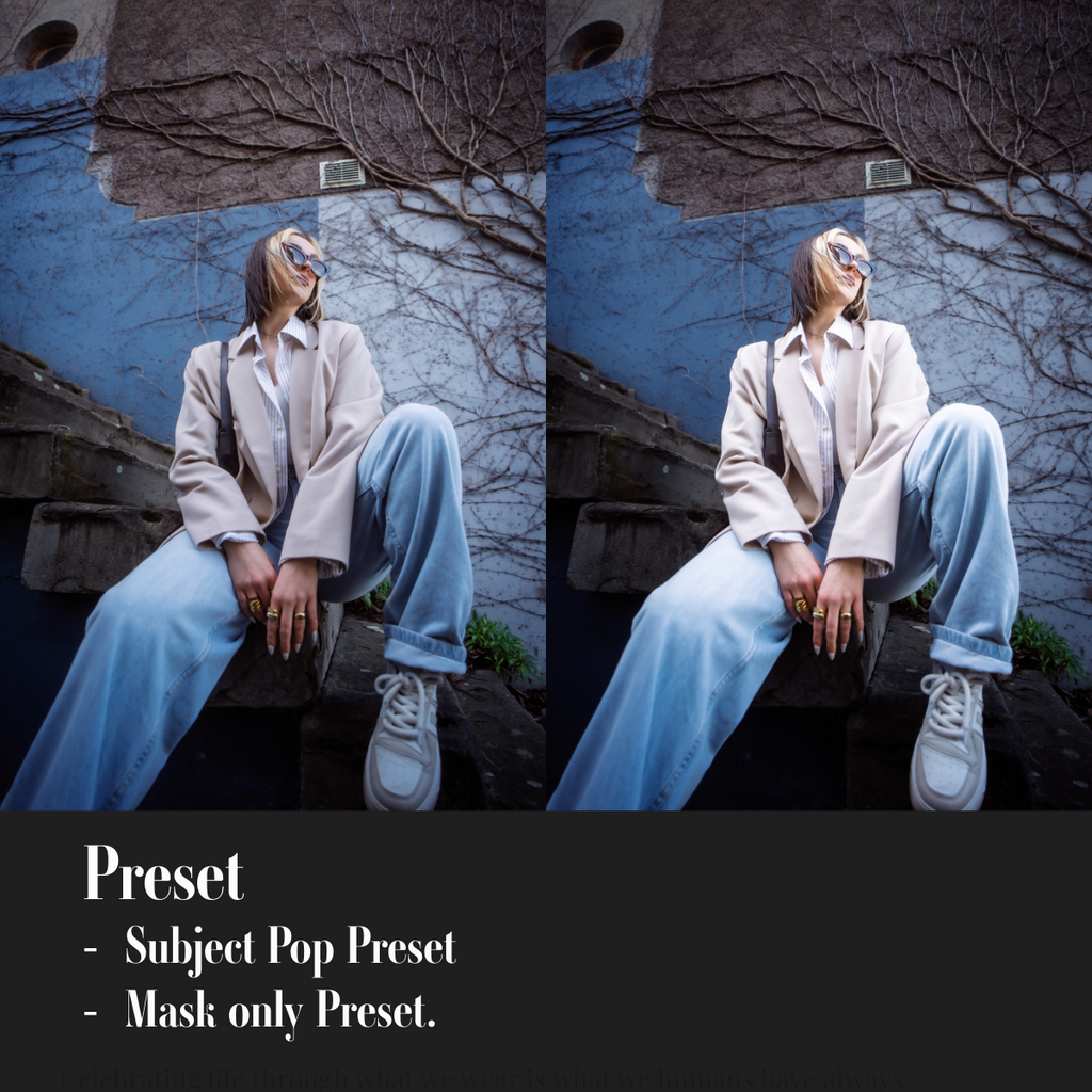 ML Mini Pack Presets V1